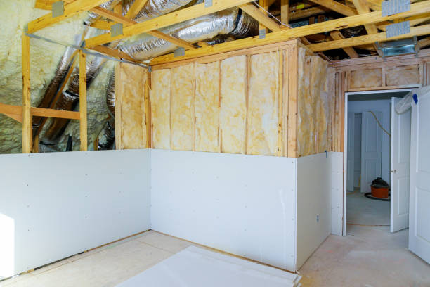 Best Insulation Removal  in Sparta, NC