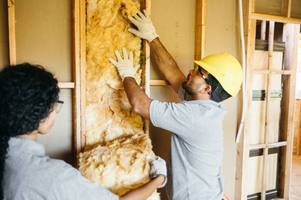 Best Soundproof Insulation Installation  in Sparta, NC
