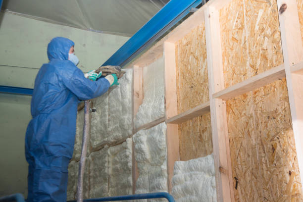 Best Blown-in Insulation  in Sparta, NC